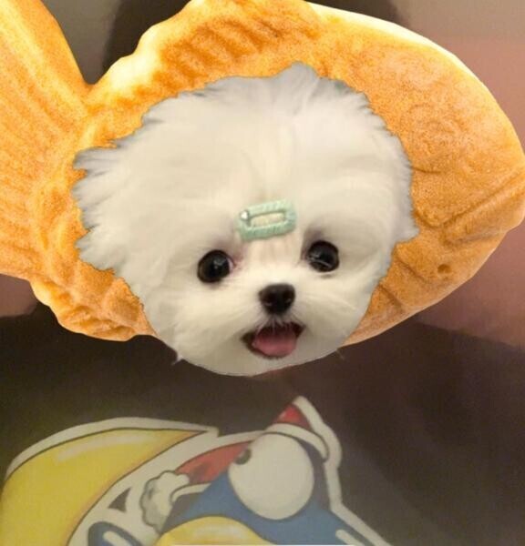 感謝してもしてもしてもしてもしても、