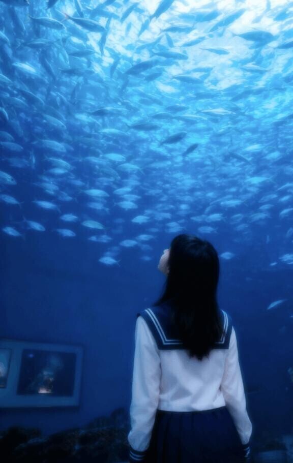 ?おすすめの教えて~??