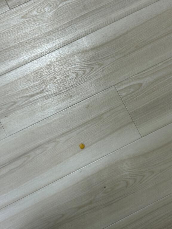 ありがとうございます???♀??