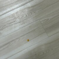 ありがとうございます???♀??