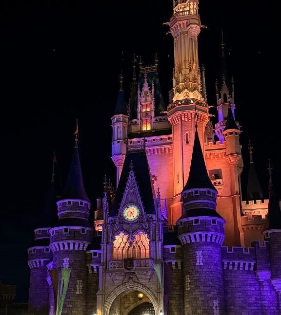 申し訳ないです?