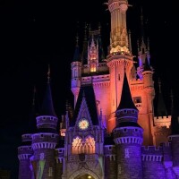 申し訳ないです?