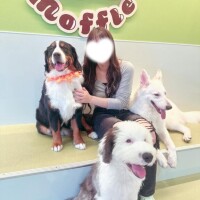 落ち着いたら載せるね?