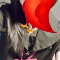 黒セーラーでお待ちしてます?