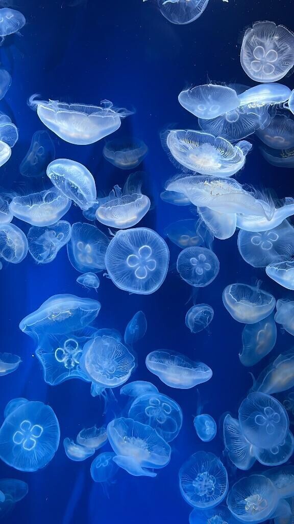 本日急遽お休みいただきました