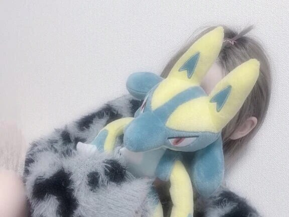 ポケモン‼️‼️‼️