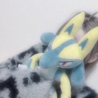 ポケモン‼️‼️‼️