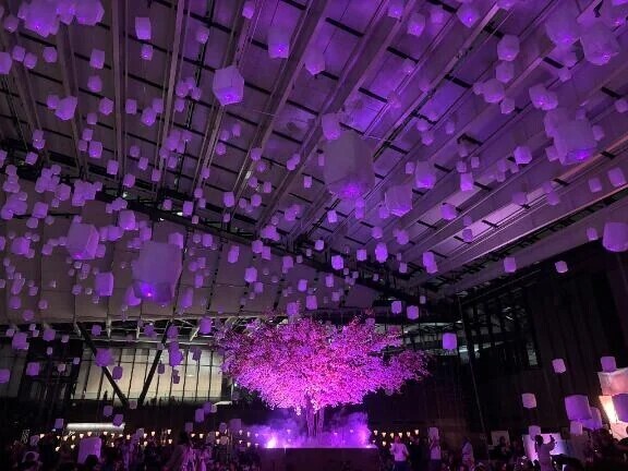 桜のランタン祭り🌸