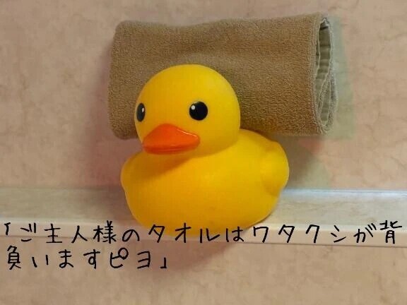 アヒル隊長有能ピヨ♡