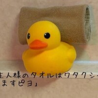 アヒル隊長有能ピヨ♡