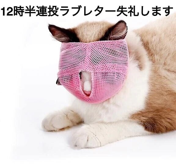 連投おまんてぃす！！！！！