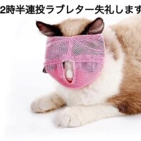 連投おまんてぃす！！！！！