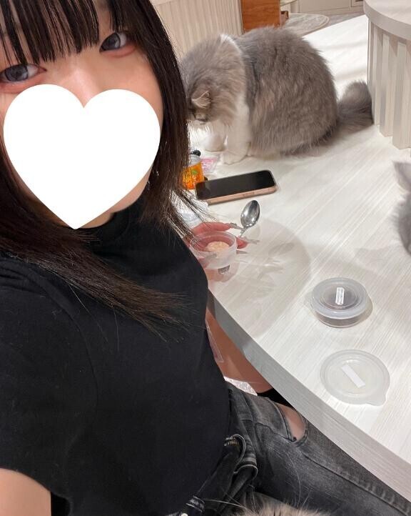 明日います！