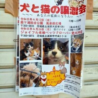 出勤しました