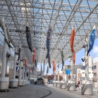 もうこんな季節