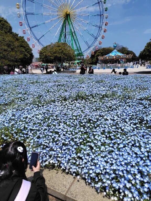 あやねの後ろ姿w