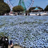 あやねの後ろ姿w