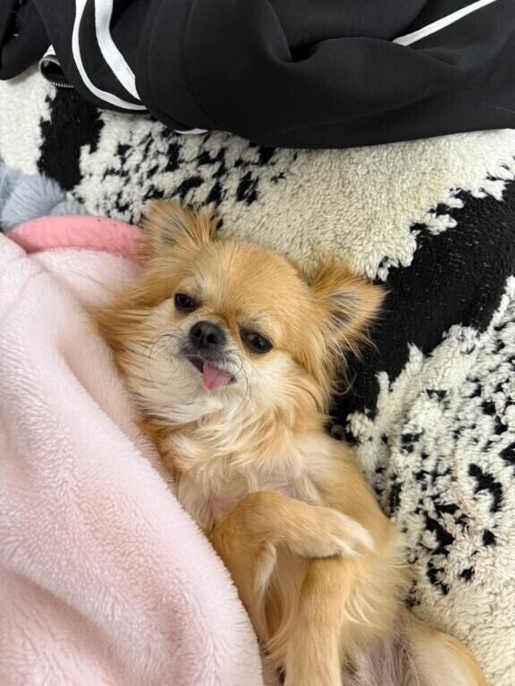 うえ～ん?