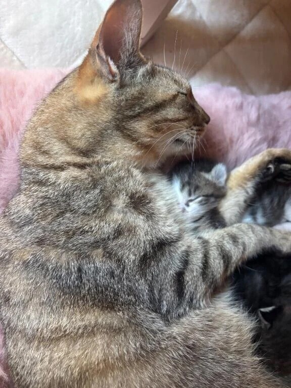 こんな所なのに、、わたしったら、、♡