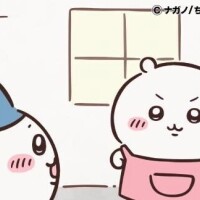 ラスト❕❕