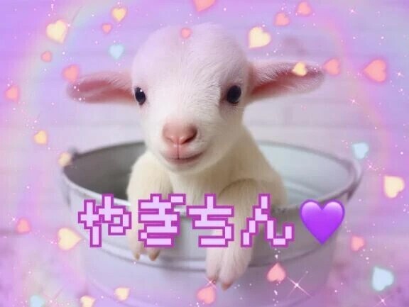 4日♡﻿ラブレター♡﻿