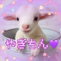 4日♡﻿ラブレター♡﻿