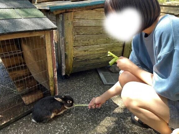 お馬さん