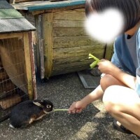 お馬さん