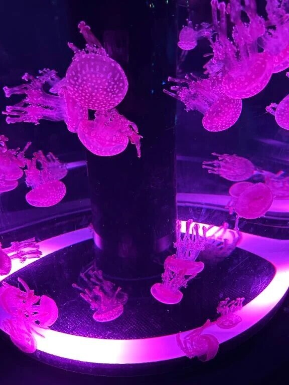 お知らせ⋆͛📢⋆