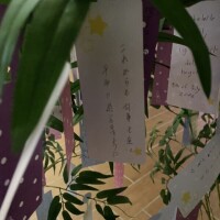 🎋だったね✨