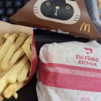 待ってます😿