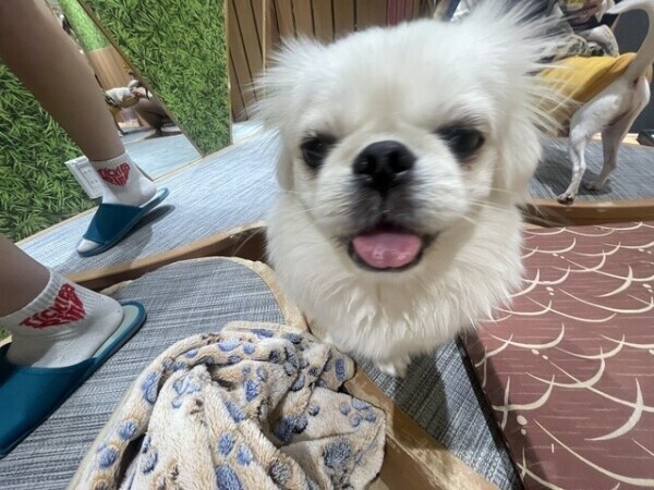 明日出勤〜✨