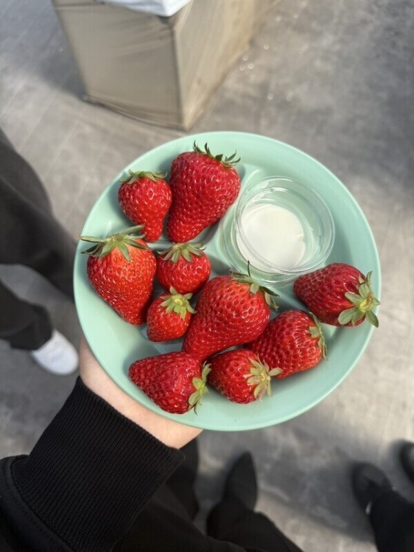 来週から