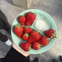 琴