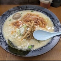 琴
