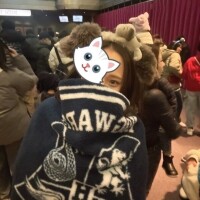 琴