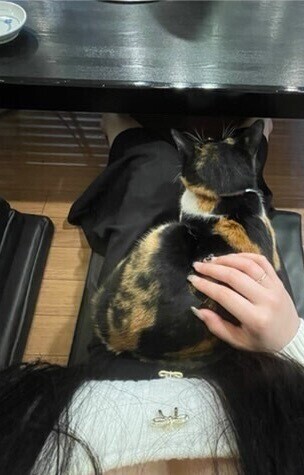 ぽかぽか日和