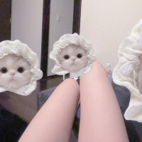 かえで