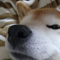 早いけど報告〜！🎃🦇