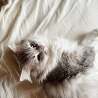 出勤します⭐️今日の…