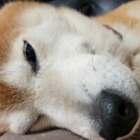 がんばったぁぁ