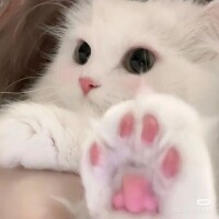 ごるでんうぃーく🥺💕