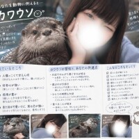 こんばんわんわん?
