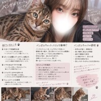 ベンガルキャット?