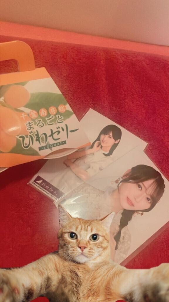 (お礼)推ししか勝たん?????