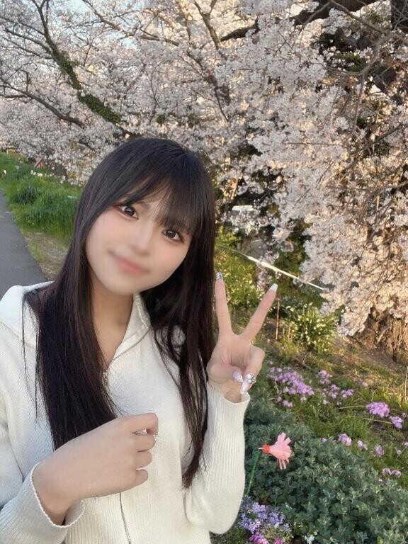 お花見したよ?