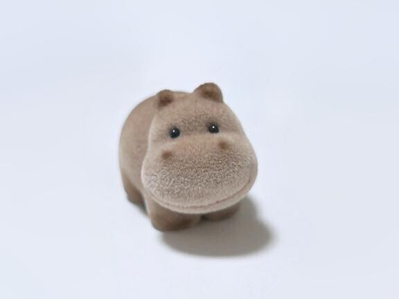 おはようございます?