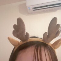 ?じつはひっそり?