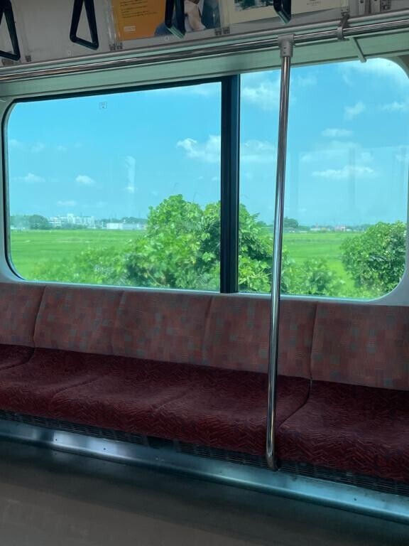 出遅れた…泣