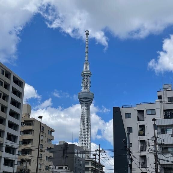 ??憂鬱な雨??